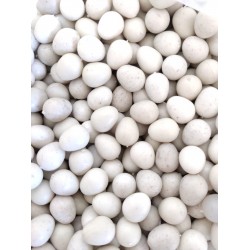 Sahte Muhabbet Yumurtası (100'lü)